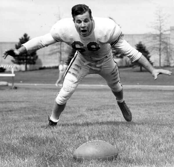 Tom Novak